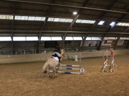 img_0581_web